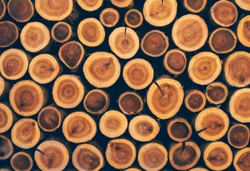 Czym Polacy będą ogrzewać domy tej zimy?