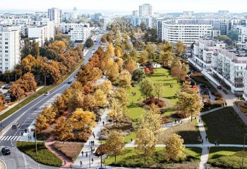 10 ha zieleni na Ursynowie. Wrótce przetarg na wykonawcę