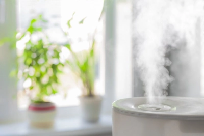 Jak nawilżyć suche powietrze w mieszkaniu?