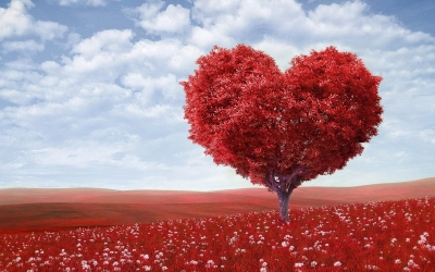 Handel od serca, czyli ile i na co wydajemy na Walentynki | Infografika