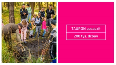 Młody las. TAURON posadził 200 tysięcy drzew