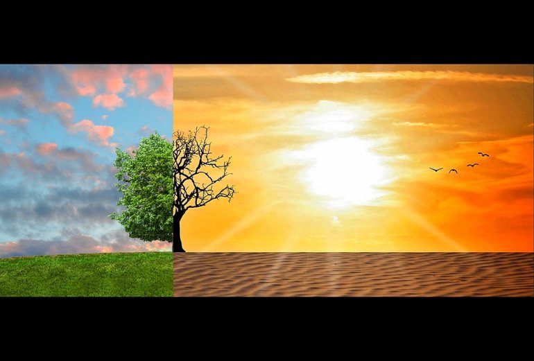 Przedsiębiorcy obawiają się cyberataków, zmian klimatu i braku kadr