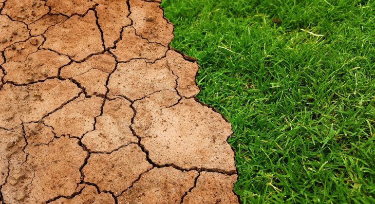 Rozpoczynamy nabór wniosków dotyczących adaptacji do zmian klimatu