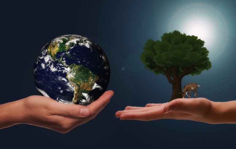 Strategia klimatyczna UE 2050 – szanse i zagrożenia
