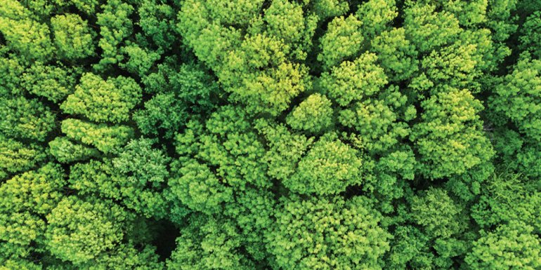 "innogy goes green” - innogy Polska z nowym programem w trosce o środowisko