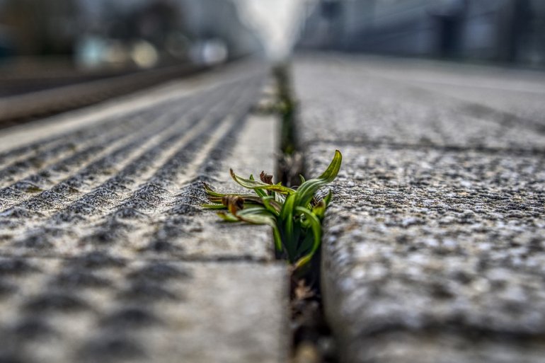 Polska firma ograniczyła wpływ produkcji betonu na środowisko