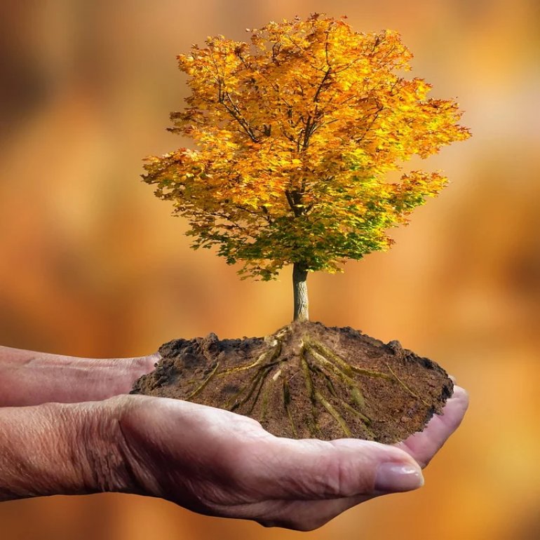 Wypracowanie wspólnych celów klimatycznych podczas COP25 w Madrycie będzie trudne do osiągnięcia