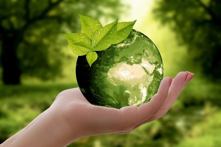 Pierwsze ekologiczne wybory Polaków – nowy raport WWF Polska