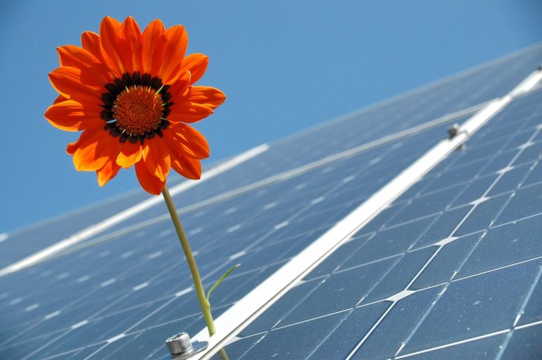 Polskie koncerny energetyczne coraz mocniej stawiają na odnawialne źródła energii