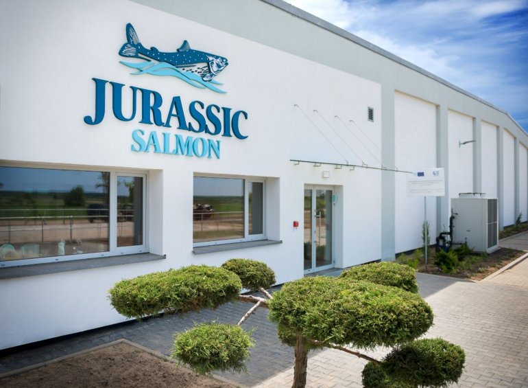 Jurassic Salmon | Systemair Polska