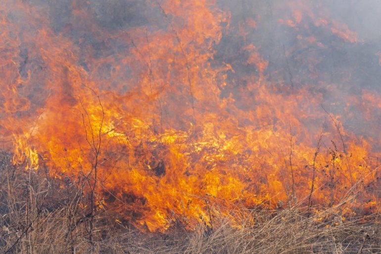 Australia płonie, Polska wysycha – katastrofa klimatyczna dzieje się na naszych oczach