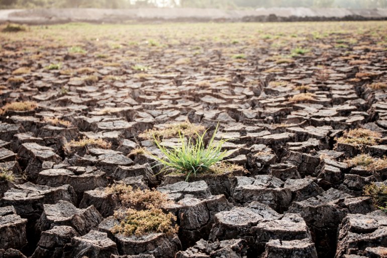 Samorządy walczą ze zmianami klimatycznymi. Zmuszają biznes do działań proekologicznych