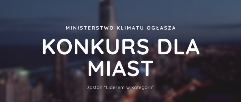 Konkurs dla miast – „Lider w kategorii”