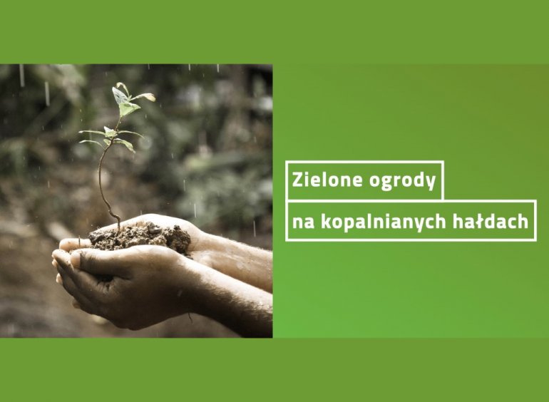 Zielone ogrody na kopalnianych hałdach