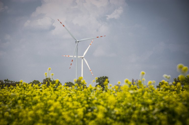 Wiatr napędza Zielony Zwrot TAURONA
