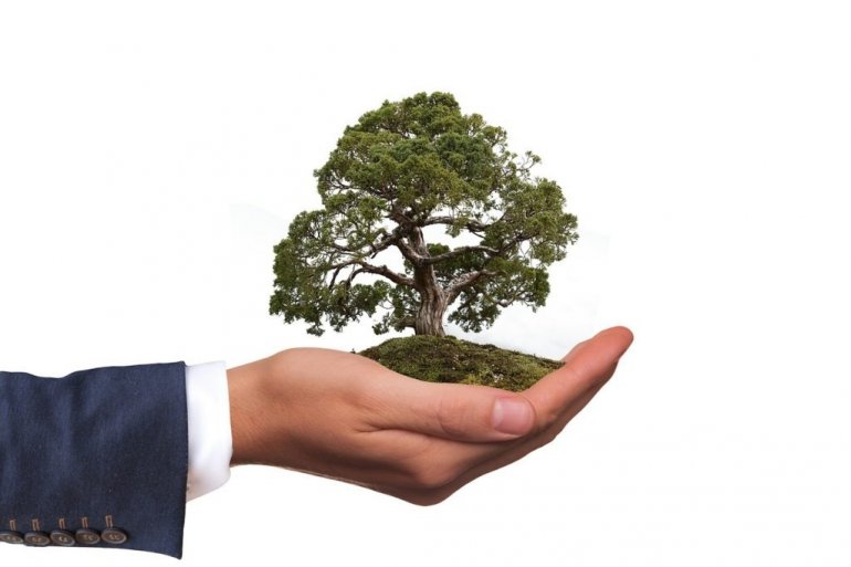 Climate Leadership – biznes na rzecz zmiany klimatycznej