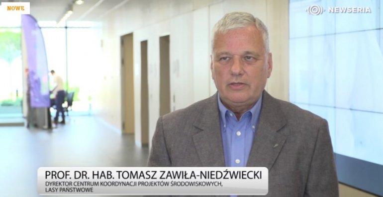 Realizacja unijnej strategii bioróżnorodności może uderzyć w polski przemysł drzewny